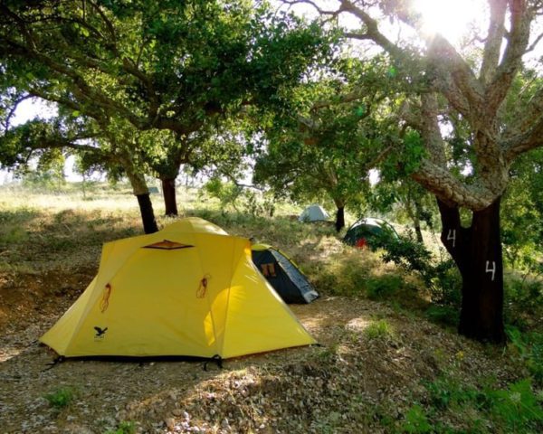 camp