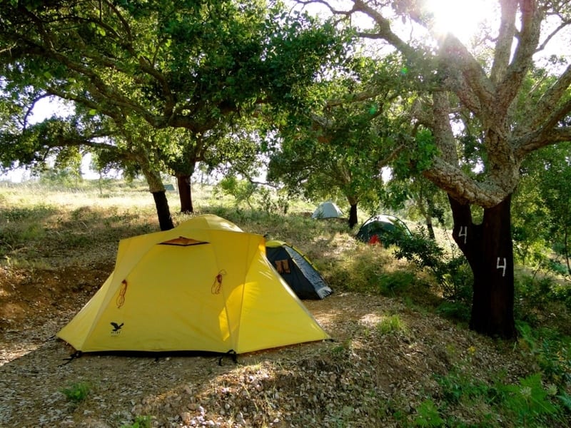 camp