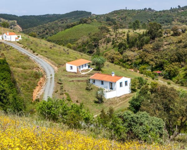 header-landscape