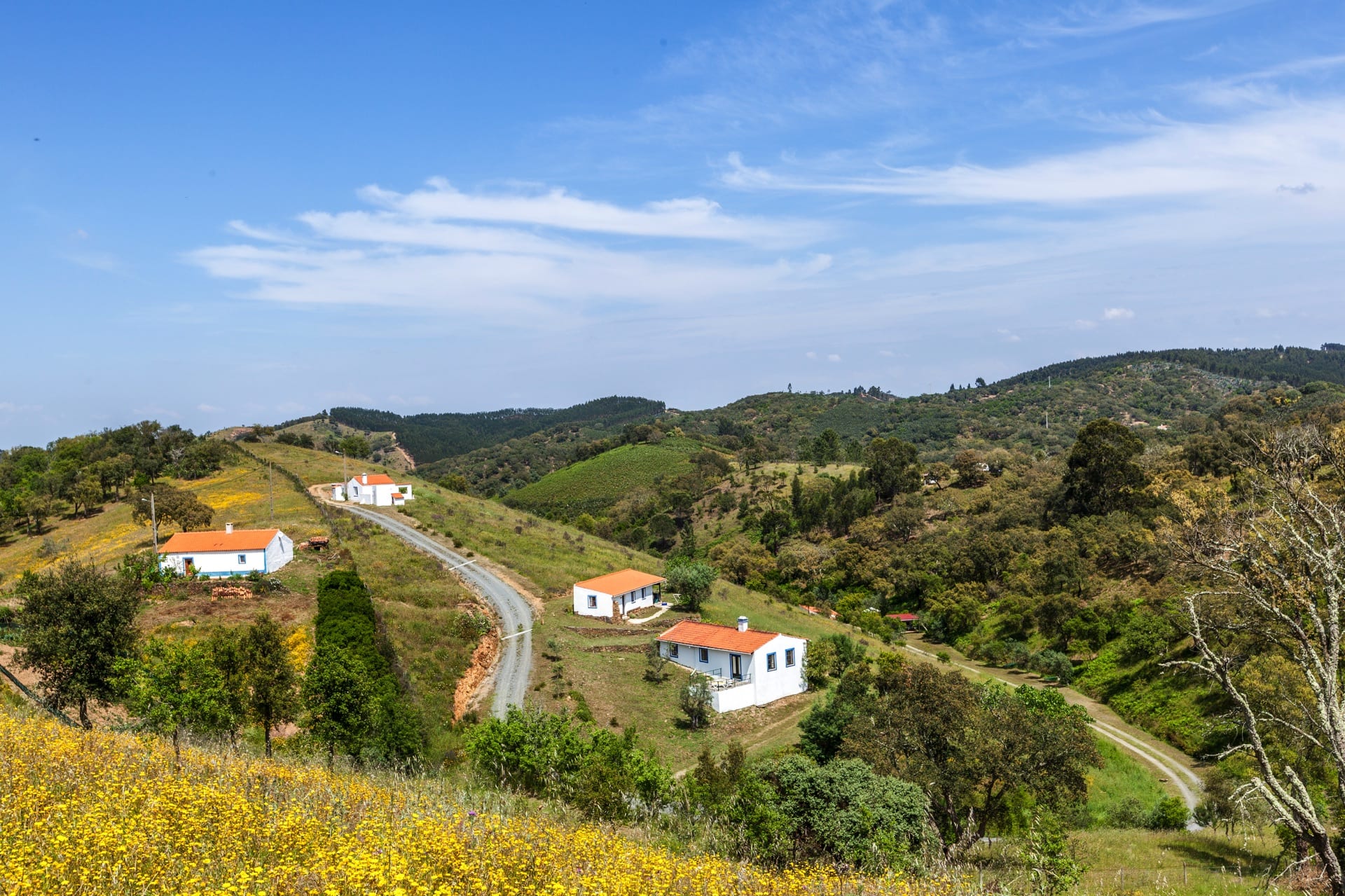 monte-maravilhas