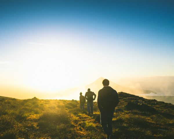 tim-foster-lSegRSDBMLw-unsplash(1)